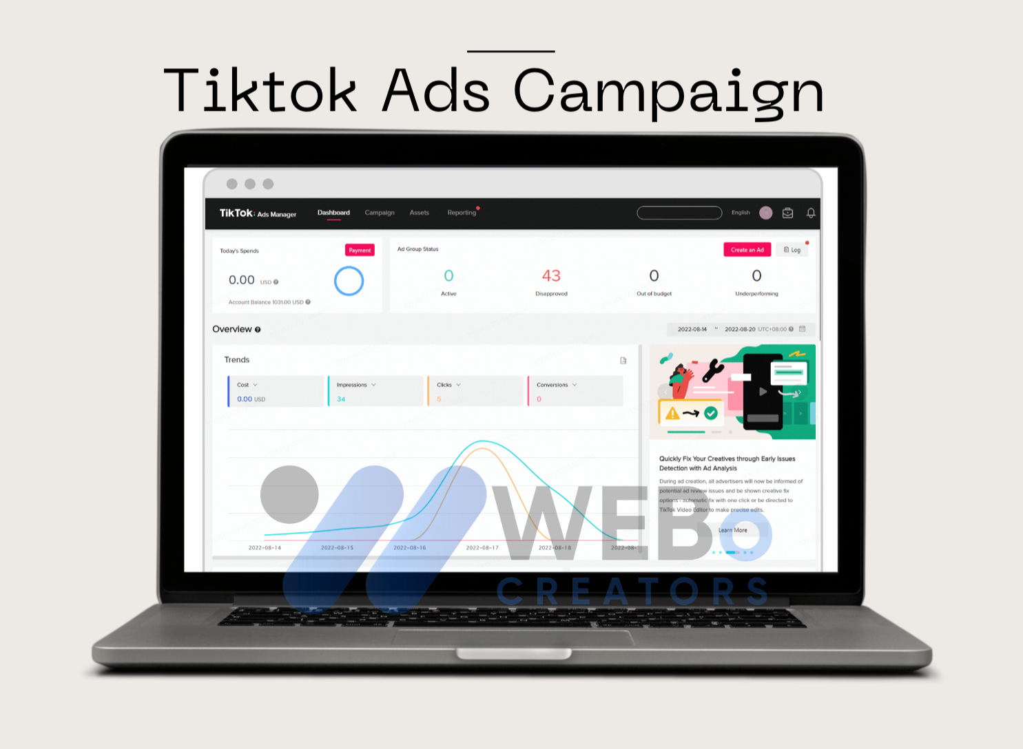 TikTok advertising campaign results in Austin